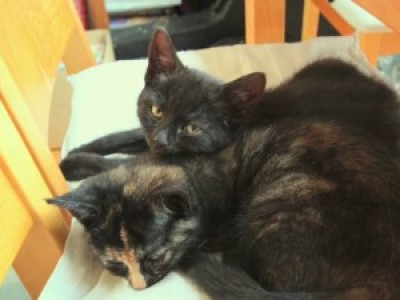 Видео из стоп-кадров