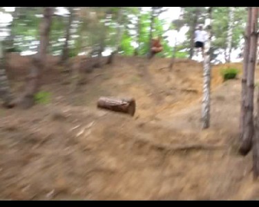 Скинули бревно