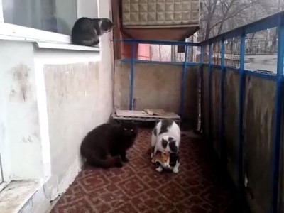 Групповуха