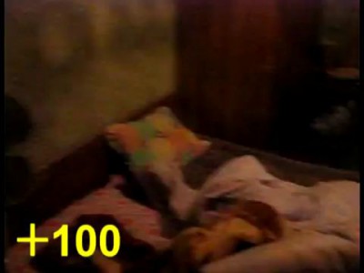 КС в жизни (counter strike in real live)