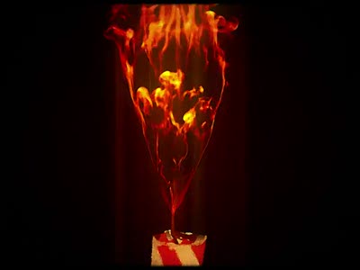 День рождения господина Теодора