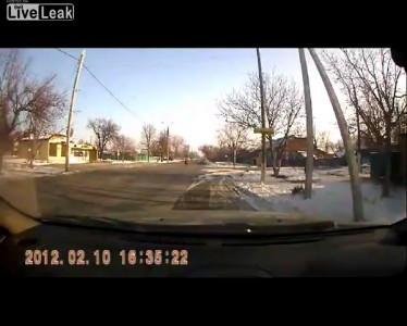 Собака попала под машину и выжила!!