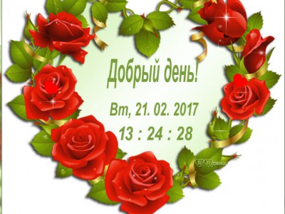 красные розы