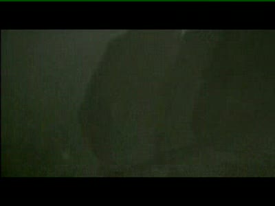 Дипломная работа по режисуре