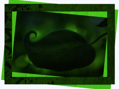 Dancing Fantasy - Dreaming Out Loud