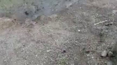 Старая Кондрашовка, результат налёта карателей 2 июля