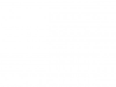 флэш проигрыватель