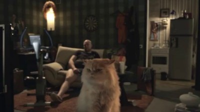 Прикольная реклама Триколор ТВ котэ