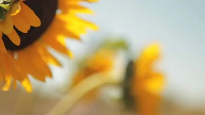 Спасибо, Смоуки!