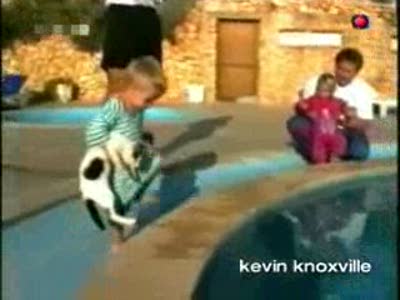 Купание котенка