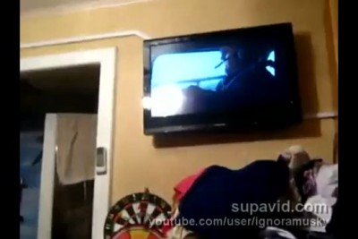 Кот смотрит телевизор