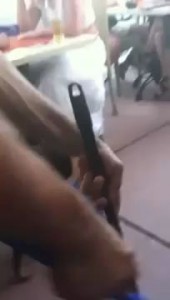 Собака-подбирака