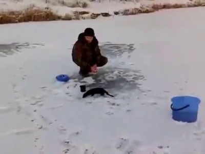 Рыбак остался без рыбы