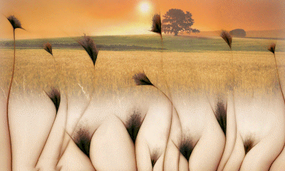 0_89d60_3a8033a8_L_yapfiles.ru