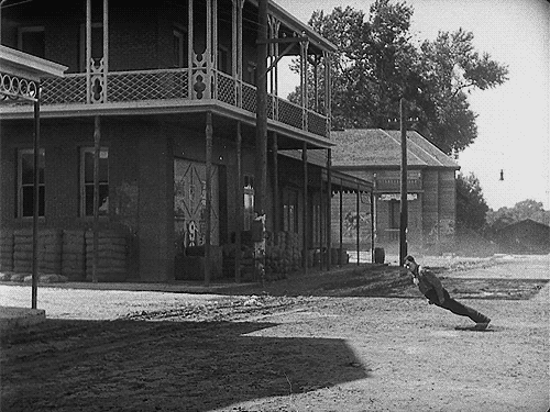 1356731120_funny_gifs_catsmob_com_01865_002