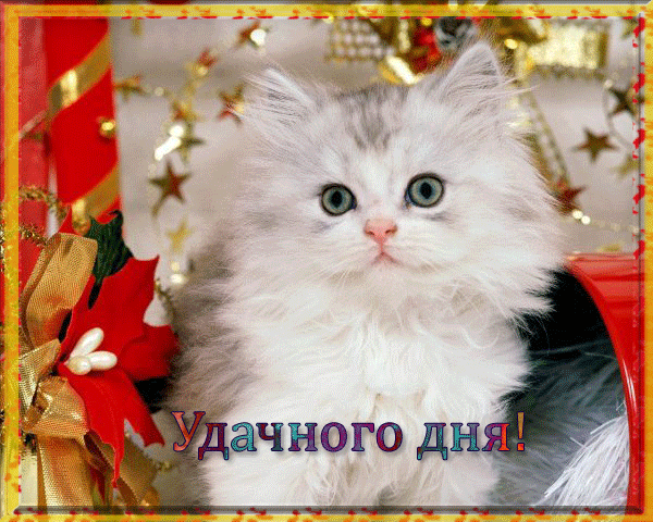 удачного дня