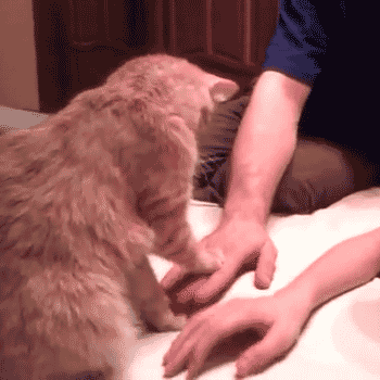 1372701885_gifs_16