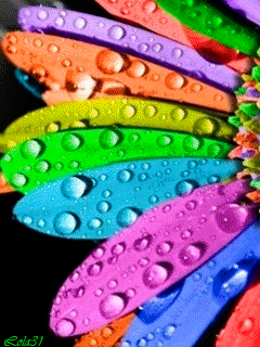 цветик-семицветик