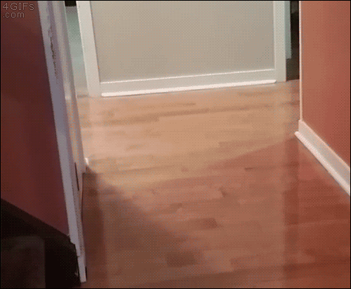 Конь тыгдымский