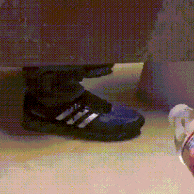 daily_gifdump_740_30