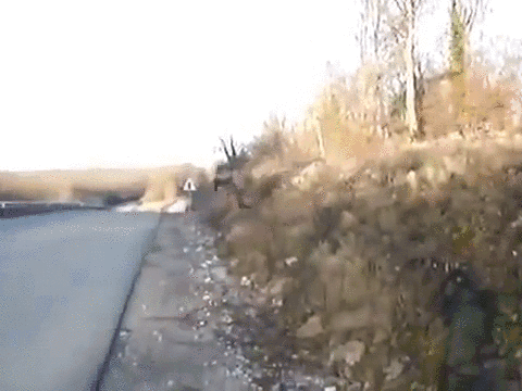 -спецназ-упс-1510751