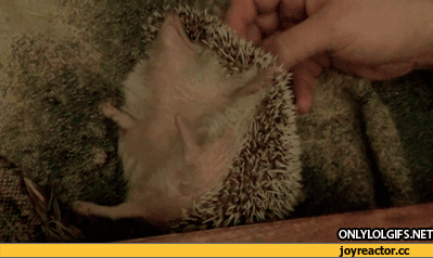 14645_2_1375094545902