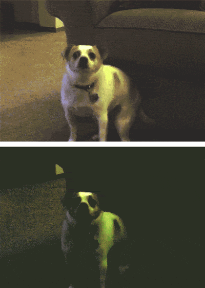 1402129988d682e8b14616298c71a8f84cb0245577