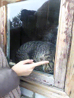 1417876140_992199772