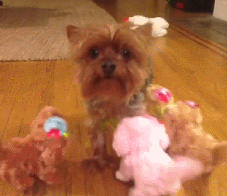 Киборги атакуют