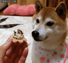 1417954784_857214438