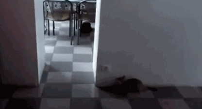 1418214652_2075117732