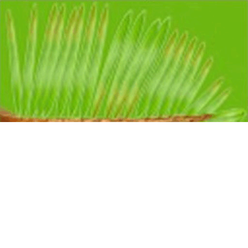 _komnatnoe_2_yapfiles