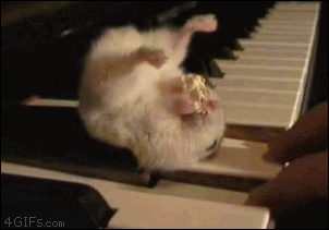 gifs_07