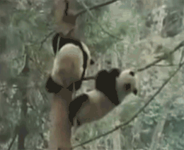 0_d5dd8_d3340bed_orig