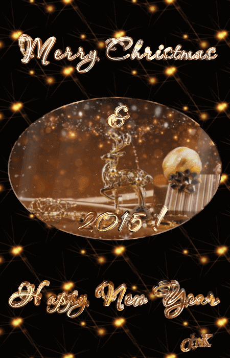 Merry Christmas & Happy New 2015 Year!