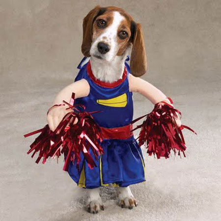 dog-costumes-2