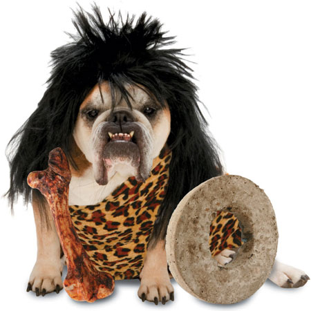 dog-costumes-5
