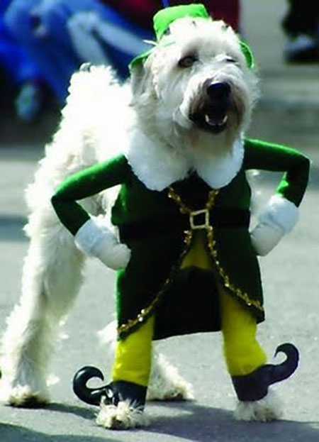 dog-costumes-7