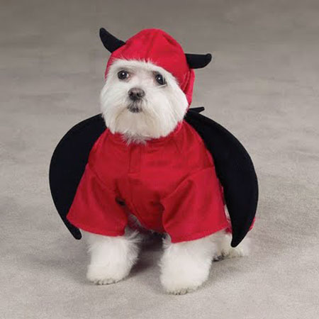 dog-costumes-8