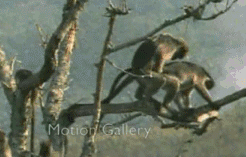 1419088280-4a1ac352975c15e86acc4ebd520a6945