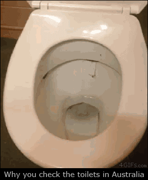 Austrailan Toulet