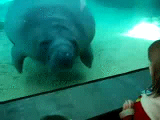 1384764579-256ea2b9ef9e02cd85a5260cb2ab8cb2