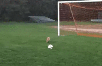 1419341966_1161233972