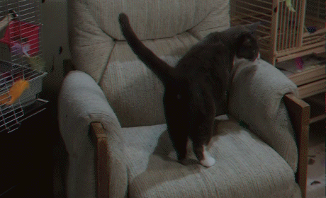 -гифка-с-новым-годом-песочница-1767759