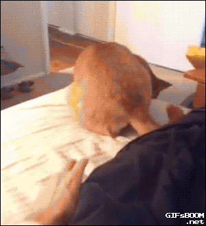 1419821825_1327200759