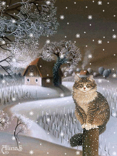 котэ в деревне