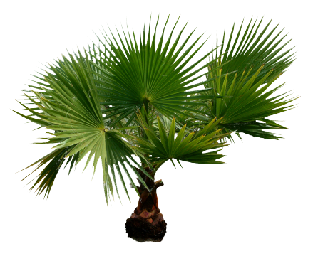 4232553-08af9166b53c9559 (1)