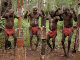 13516579456442