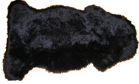 bearskinrug1