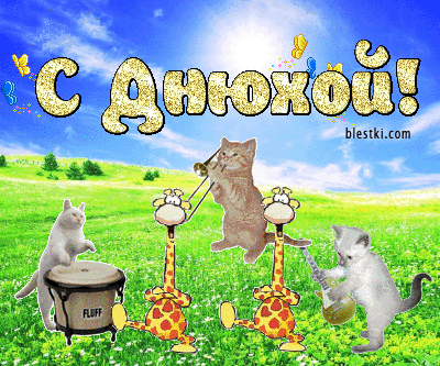 otkryitki-na-den-rozhdeniya-s-kotami15